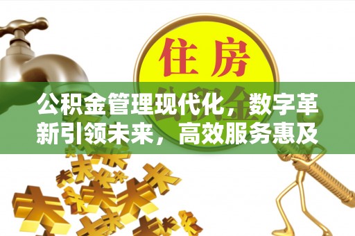 江州公积金管理现代化，数字革新引领未来，高效服务惠及民生
