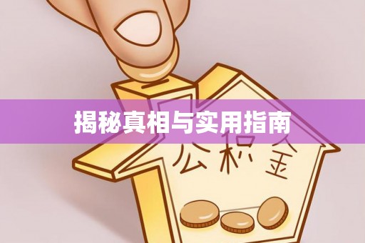 江州揭秘真相与实用指南