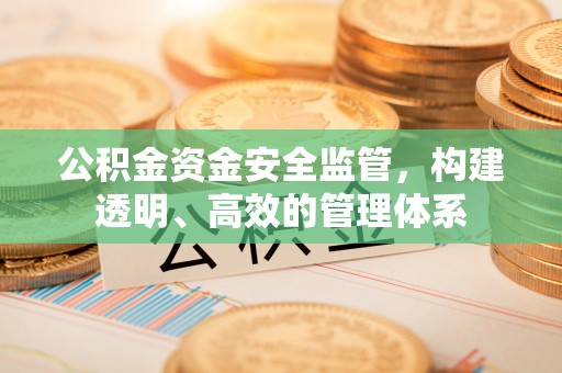 江州公积金资金安全监管，构建透明、高效的管理体系
