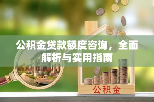 江州公积金贷款额度咨询，全面解析与实用指南