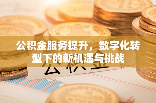 江州公积金服务提升，数字化转型下的新机遇与挑战