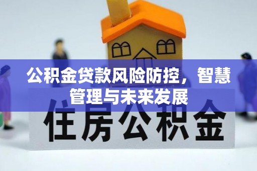 江州公积金贷款风险防控，智慧管理与未来发展
