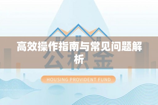 江州高效操作指南与常见问题解析