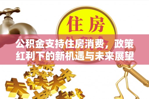 江州公积金支持住房消费，政策红利下的新机遇与未来展望