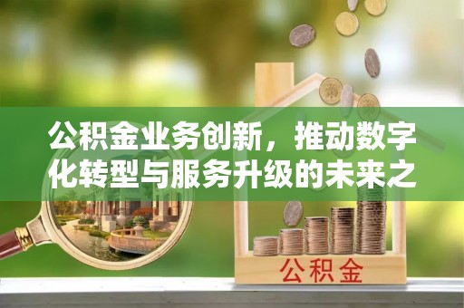江州公积金业务创新，推动数字化转型与服务升级的未来之路