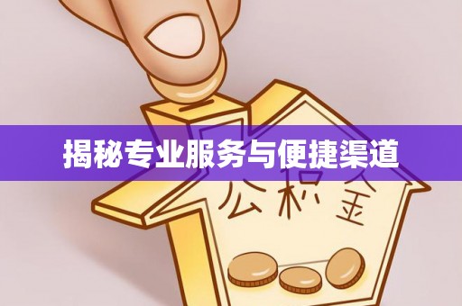 江州揭秘专业服务与便捷渠道