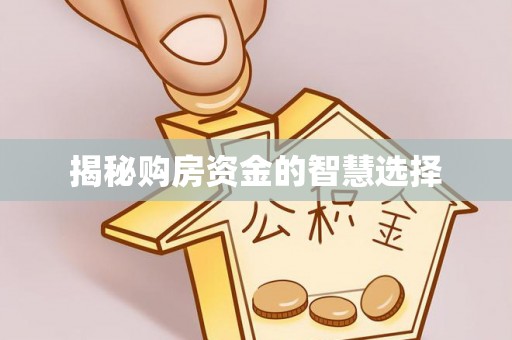 江州揭秘购房资金的智慧选择