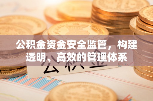 江州公积金资金安全监管，构建透明、高效的管理体系