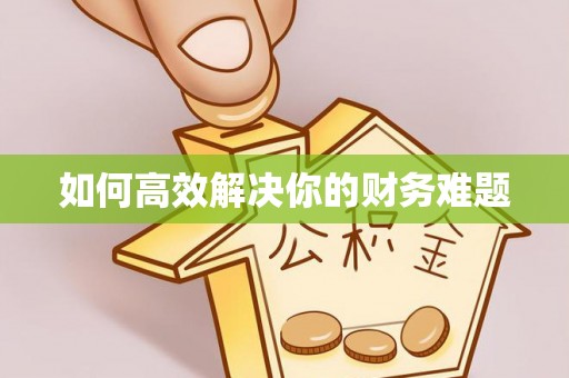 江州如何高效解决你的财务难题