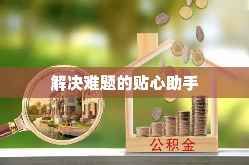 江州解决难题的贴心助手