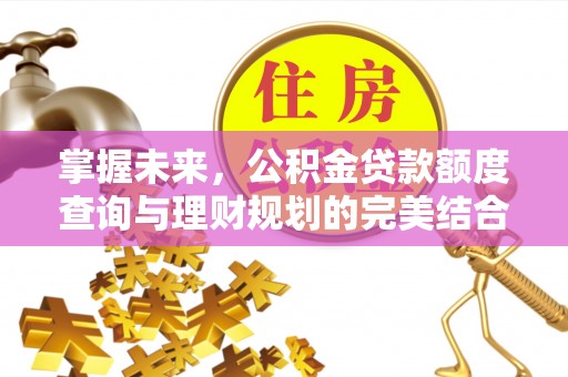江州掌握未来，公积金贷款额度查询与理财规划的完美结合