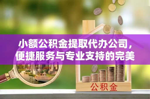 江州小额公积金提取代办公司，便捷服务与专业支持的完美结合