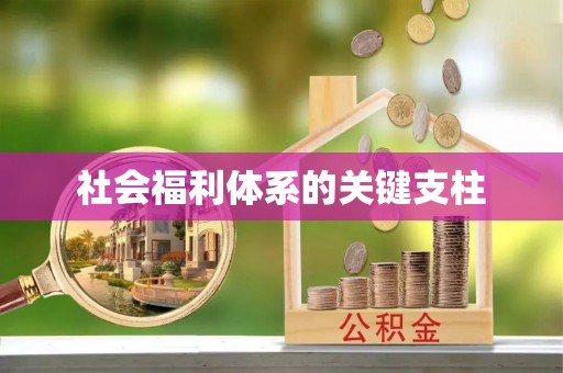 江州社会福利体系的关键支柱