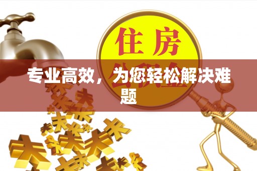 江州专业高效，为您轻松解决难题