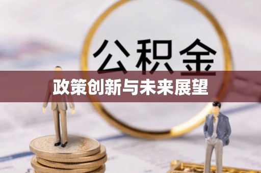 江州政策创新与未来展望
