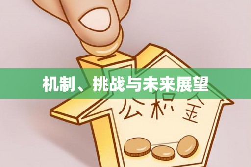 江州机制、挑战与未来展望